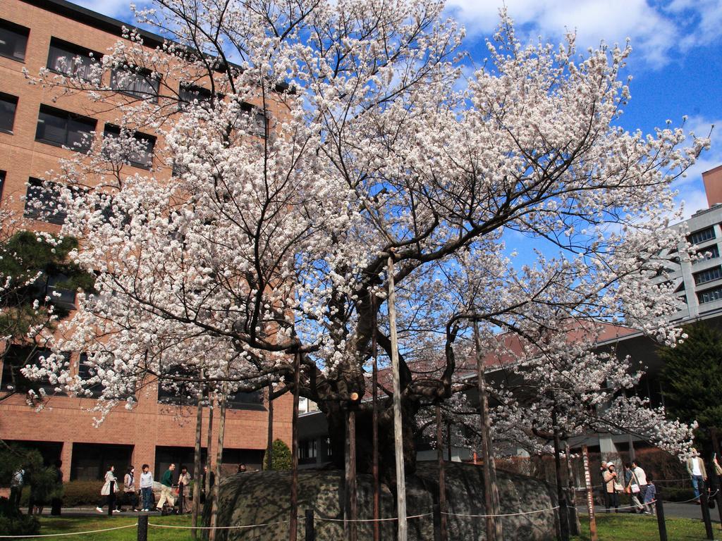 Kita Hotel Morioka Exterior foto
